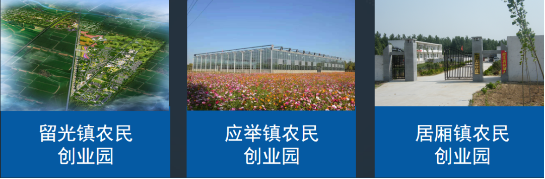 全力助推河南新鄉(xiāng)封丘縣委托招商引資，立足特色產(chǎn)業(yè)，打造魅力封丘