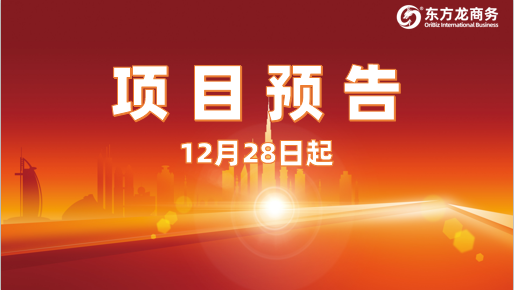 堅持高水準(zhǔn)開發(fā)，高質(zhì)量對接！12月28日起，25家優(yōu)質(zhì)投資選址企業(yè)精準(zhǔn)對接全國政府園區(qū)