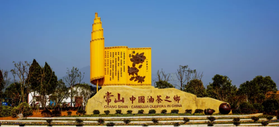 政府委托招商合作丨全力助推浙江衢州常山縣傳統(tǒng)產業(yè)加快升級，新興產業(yè)異軍突起