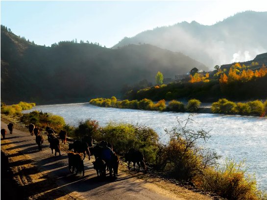 集團(tuán)全力助推甘肅甘南藏族自治州合作市委托招商引資，搶占發(fā)展先機(jī)壯大高原支柱產(chǎn)業(yè)