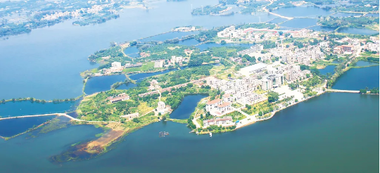 集團全力助推廣東湛江廉江市委托招商引資，圍繞優(yōu)勢產(chǎn)業(yè)補鏈、強鏈、延鏈
