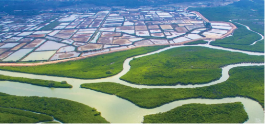 集團全力助推廣東湛江廉江市委托招商引資，圍繞優(yōu)勢產(chǎn)業(yè)補鏈、強鏈、延鏈