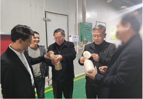 合作邁出堅實一步！集團推進3家優(yōu)質(zhì)投資選址企業(yè)精準對接地方政府