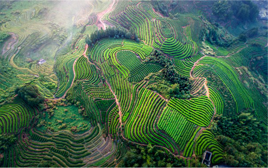 集團(tuán)全力助推福建寧德周寧縣委托招商引資，強(qiáng)化特色產(chǎn)業(yè)實(shí)力，為全縣高質(zhì)量發(fā)展增添新動(dòng)力