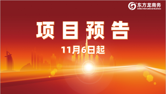 搶抓進博機遇，堅持一線開發(fā)！11月6日起，17家優(yōu)質(zhì)投資選址企業(yè)精準對接全國政府園區(qū)