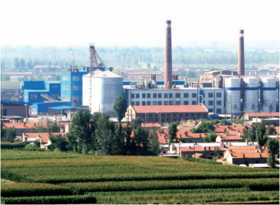 集團(tuán)全力助推內(nèi)蒙古自治區(qū)通遼市委托招商引資，強(qiáng)勢(shì)打造五大產(chǎn)業(yè)集群高質(zhì)量發(fā)展新格局