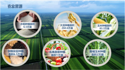 集團(tuán)全力助推黑龍江齊齊哈爾拜泉縣委托招商引資，立足資源優(yōu)勢，開辟產(chǎn)業(yè)集群高質(zhì)量發(fā)展新高地