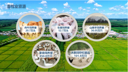 集團(tuán)全力助推黑龍江齊齊哈爾拜泉縣委托招商引資，立足資源優(yōu)勢，開辟產(chǎn)業(yè)集群高質(zhì)量發(fā)展新高地