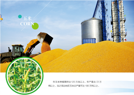 集團全力助推黑龍江嫩江市委托招商引資，以6大優(yōu)勢助推地方產(chǎn)業(yè)高質(zhì)量發(fā)展