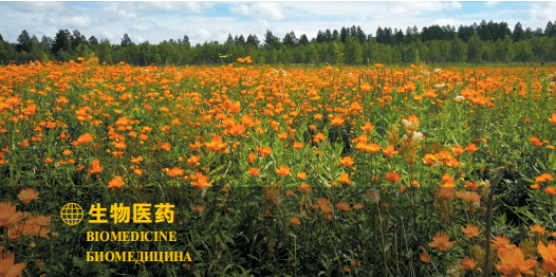 集團(tuán)全力助推黑龍江大興安嶺委托招商引資，聚力將“冷資源”轉(zhuǎn)化為“熱經(jīng)濟(jì)”！