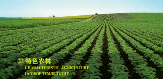 集團(tuán)全力助推黑龍江大興安嶺委托招商引資，聚力將“冷資源”轉(zhuǎn)化為“熱經(jīng)濟(jì)”！