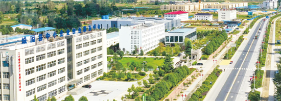 集團(tuán)全力助推陜西省城固縣委托招商引資，打造百億級產(chǎn)業(yè)集群