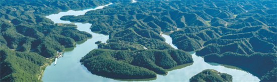 集團(tuán)全力助推陜西省城固縣委托招商引資，打造百億級產(chǎn)業(yè)集群