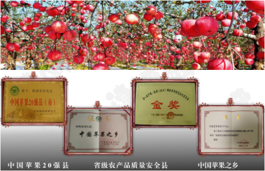 集團全力助推陜西淳化縣委托招商引資，打造優(yōu)勢特色產(chǎn)業(yè)集群