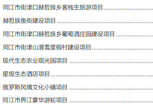 集團(tuán)全力助推黑龍江省同江市委托招商引資，充分挖掘開發(fā)潛能，再次綻放邊陲魅力