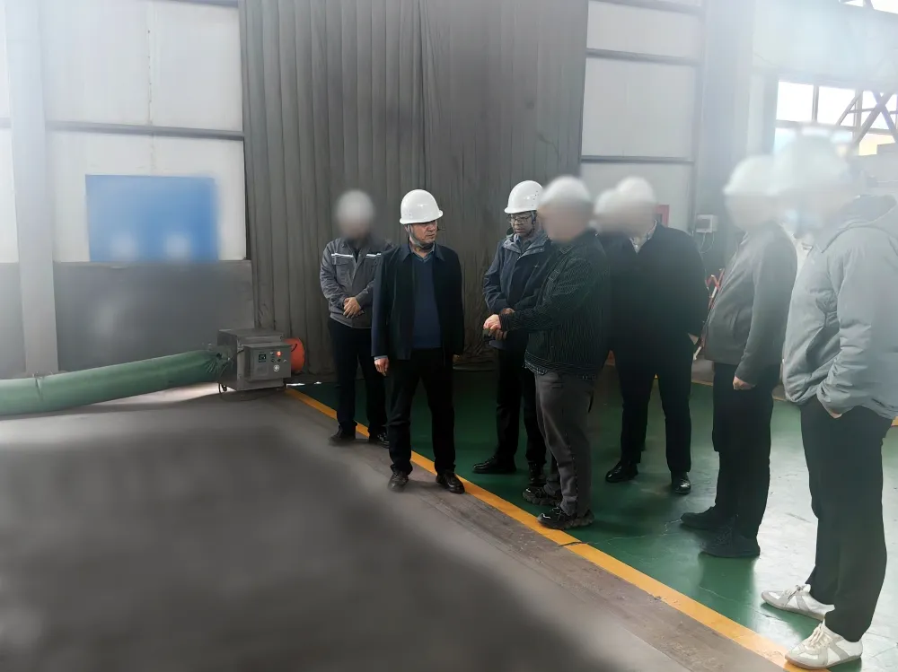 高新技術企業(yè)，超百項專利技術！甘肅某地方政府實地對接復雜難選金屬礦高效開發(fā)利用投資選址項目